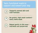 AniForte Skin and Coat Snack