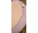 *10% OFF* - Damaged - Jazwares Squishmallows - Pet Bed Medium 24 Inch - Beula The Octopus