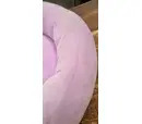 *10% OFF* - Damaged - Jazwares Squishmallows - Pet Bed Medium 24 Inch - Beula The Octopus