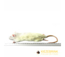 Kiezebrink Small Rat Pack 5