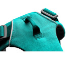 Ruffwear Front Range Harness Aurora Teal 